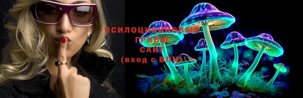 молекула духа Аркадак
